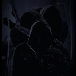 The Shadow