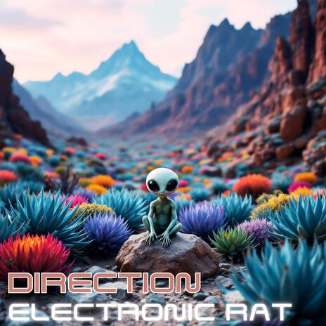 Direction cover art