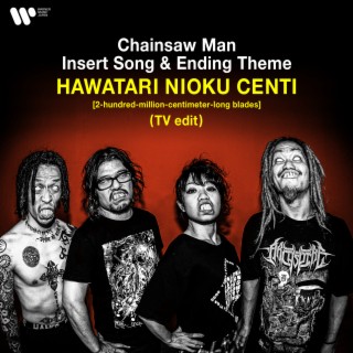 MAXIMUM THE HORMONE