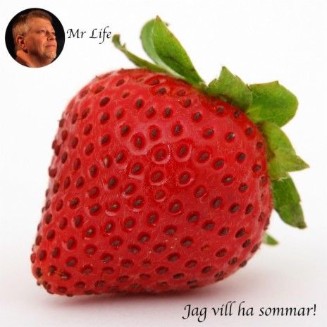 Jag vill ha sommar cover art