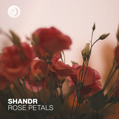 Rose Petals cover art