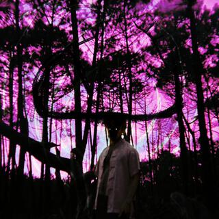 A Shivboy Dreamshow 2