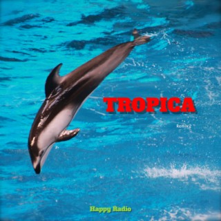 Tropica Remix 2