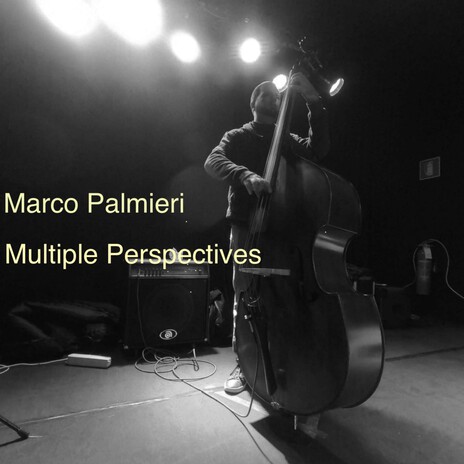 Multiple Perspectives cover art