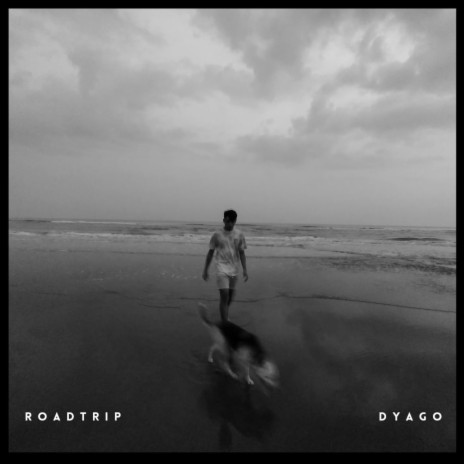 Roadtrip cover art