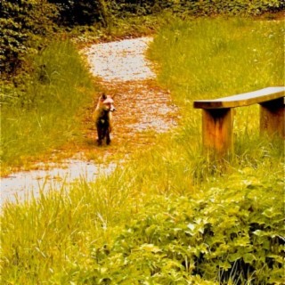 Slow down a little cover art