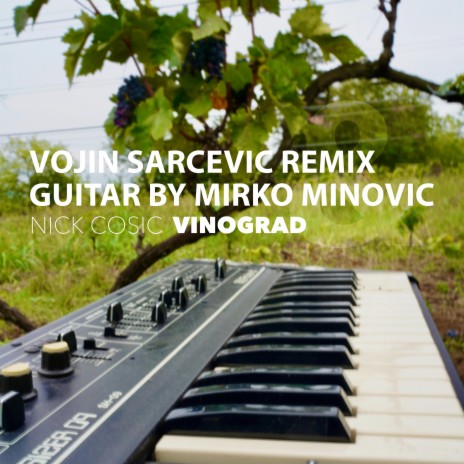 Vinograd (Vojin Sarcevic Remix) cover art