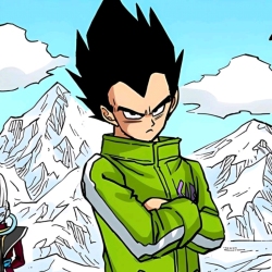 author avatar
