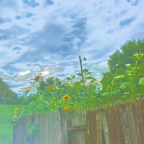 The Bee Keeper ft. Chubbs Curly cover art