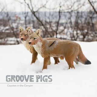 Coyotes in the Canyon