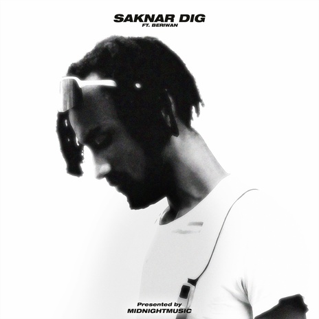 Saknar dig ft. Beriwan cover art
