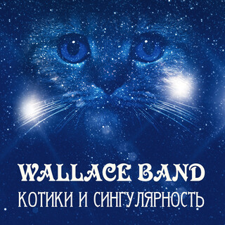 Котики и сингулярность