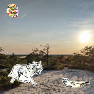 Coyote Safari