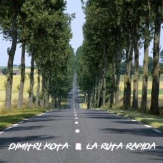 Dimitri Kota