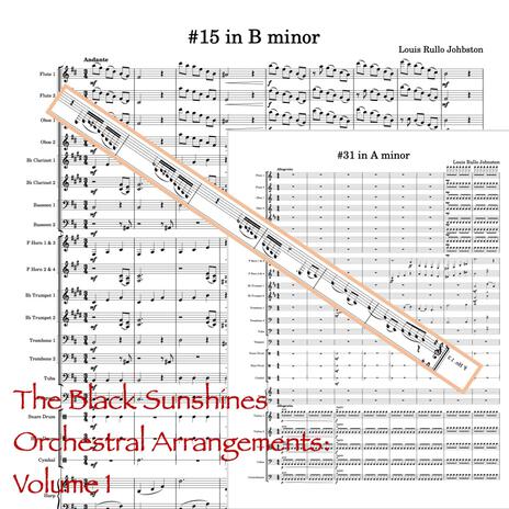 Fifteenth Song in B Minor cover art