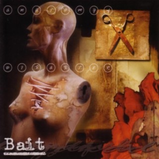 Bait