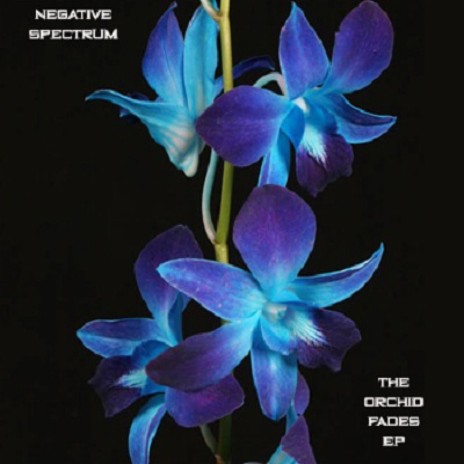 The Orchid Fades III cover art