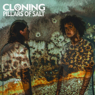 Pillars of Salt