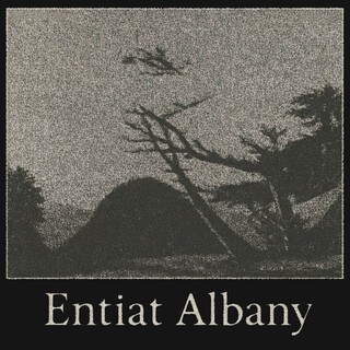 Albany