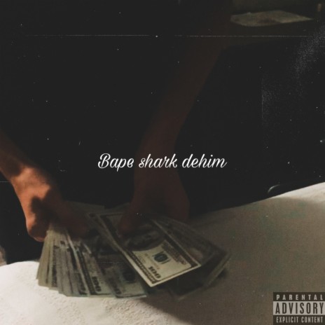Bape Shark Dehim cover art
