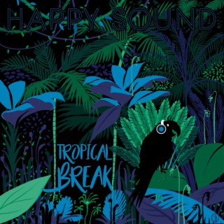 Tropical Break