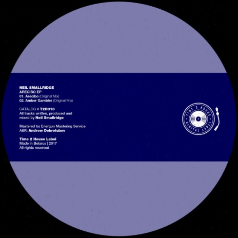 Amber Gambler (Original Mix) cover art