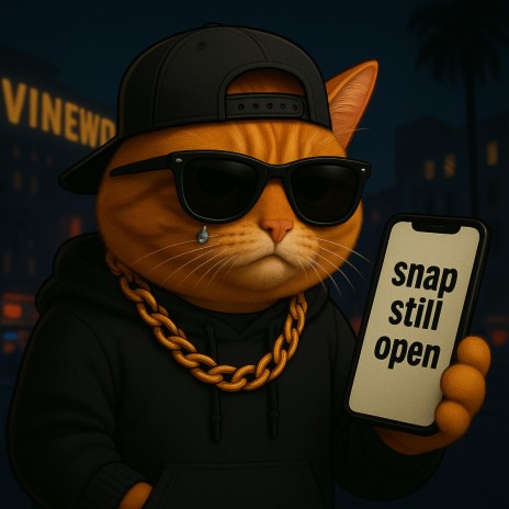 Snap Still Open cover art