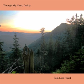 Through My Heart, Darkly