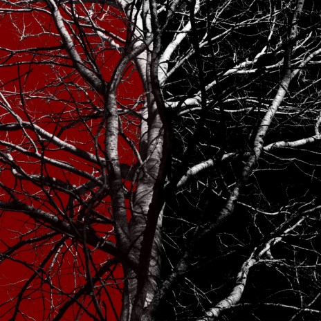 Нездоровый вайб cover art