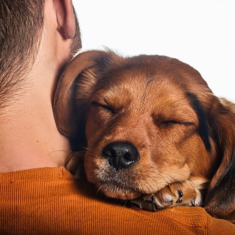 El Cachorro Dormido ft. Viajero & Mundo lento