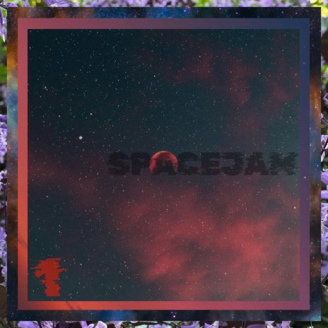 More Than Fly cover art