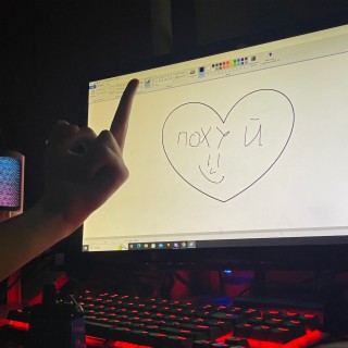 Похуй cover art