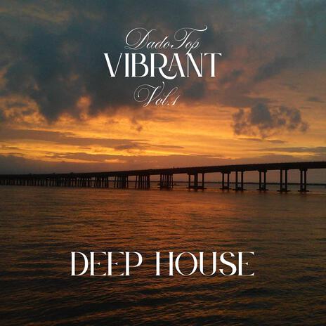 Vibrant vol.1