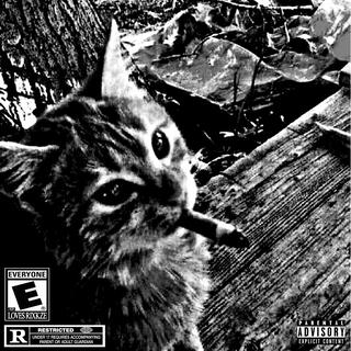 YoungMettro