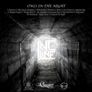 Owl's in the Night