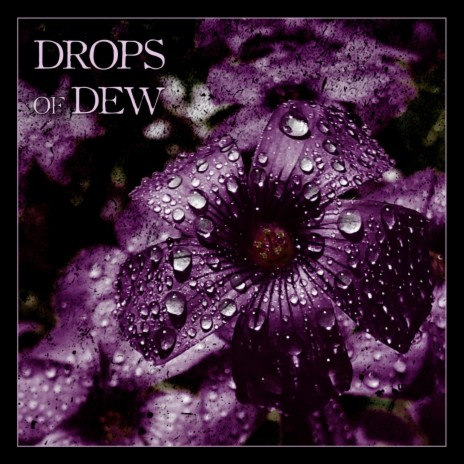 Drops of Dew cover art