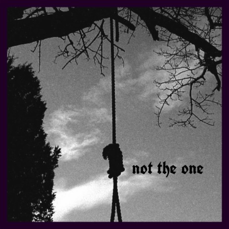 not the one cover art