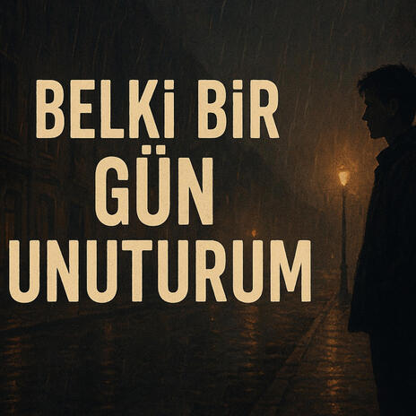 BELKİ BİR GÜN UNUTURUM cover art