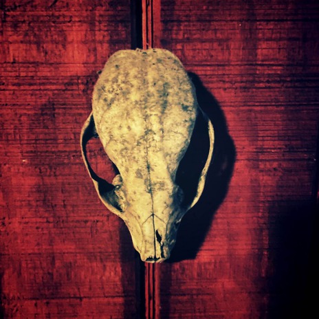No Place In Heaven cover art