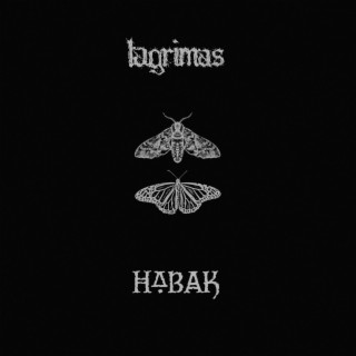 Lagrimas // Habak