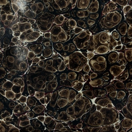 Return to Soil cover art
