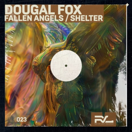 Shelter (Radio Mix) cover art