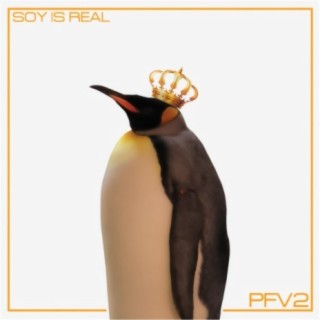Soy Is Real