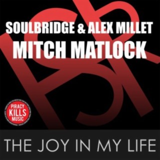 The Joy In My Life cover art