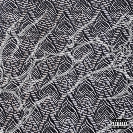 vibin cover art