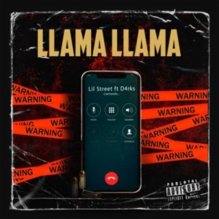 Llama llama ft. D4rks cover art