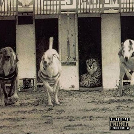 Hielo cover art