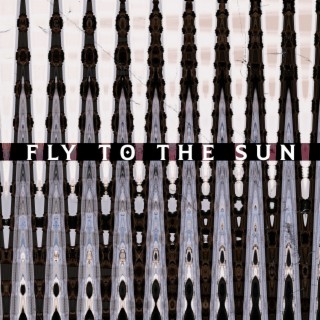 Fly to the Sun