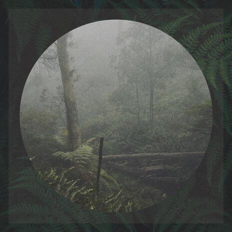 DEVOTION cover art