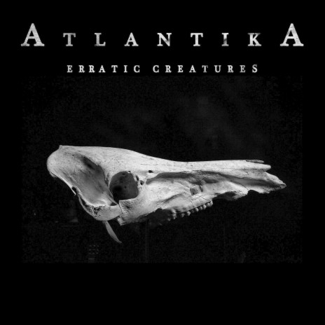 Insects cover art